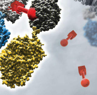 GST-Tagged Protein Purification