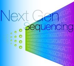 Methylated DNA-Seq