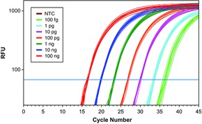 qPCR Reagents