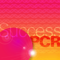 High Yield PCR Polymerases