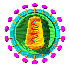 Retroviral Transduction